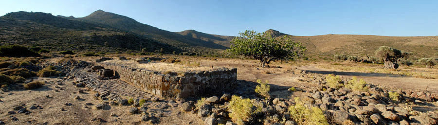 Το αρχαίο Ελαιώνα, The ancient olive grove